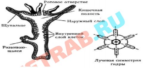 Кракен ссылка список